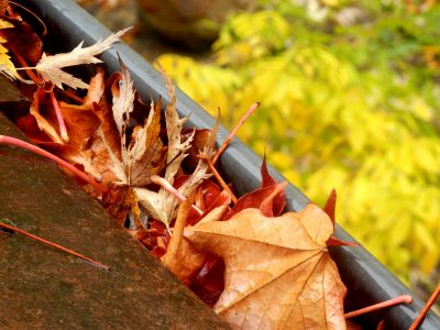 Late Fall Gutter Cleaning